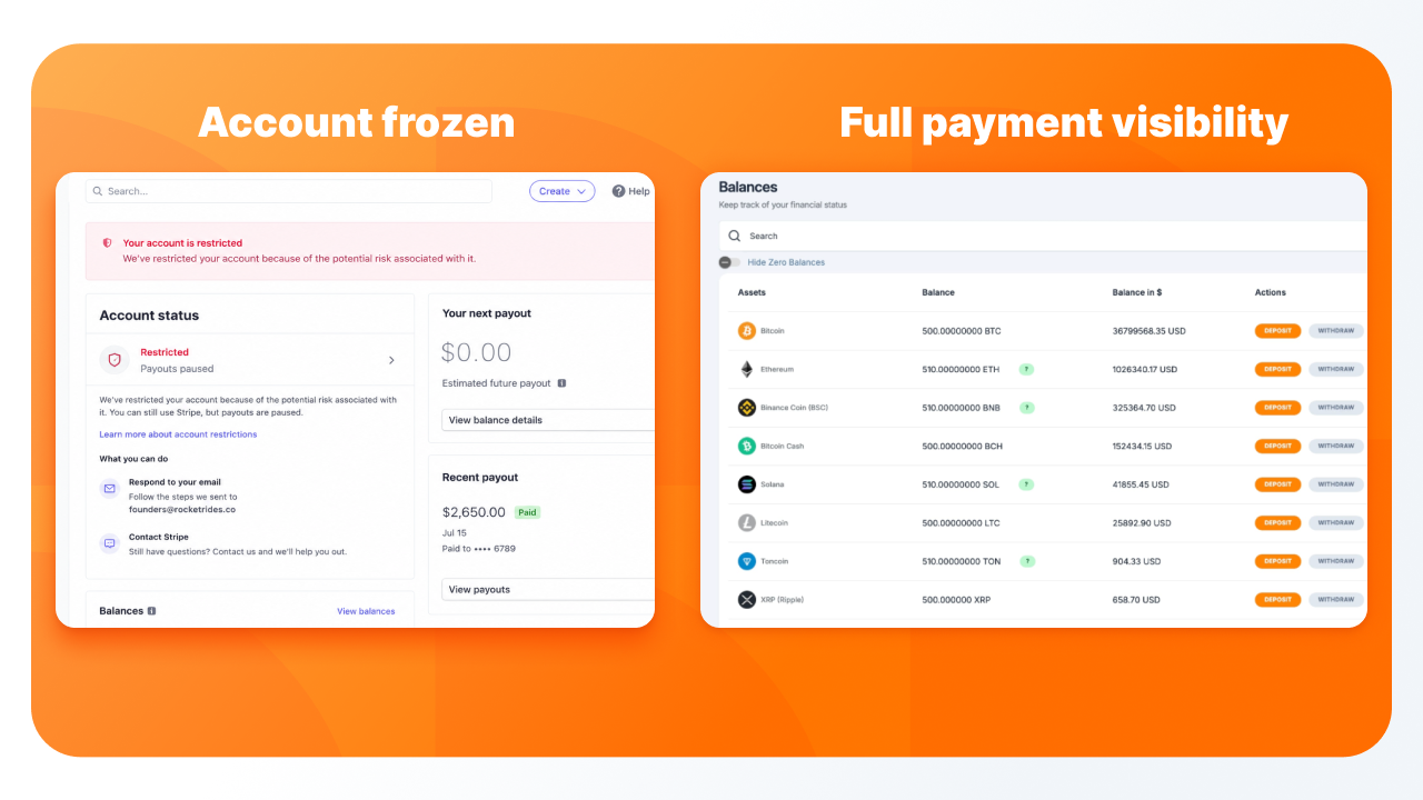 What Is the Best Stripe Alternative
