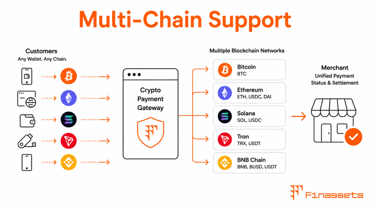 Crypto Multi-Chain Support Cryptocurrency Multi-Chain Support